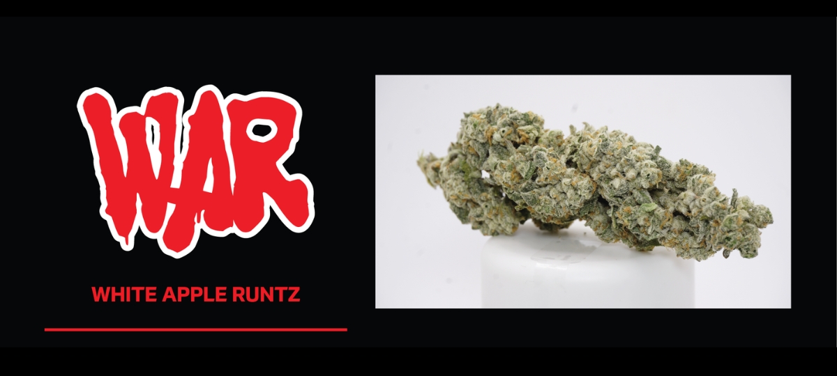 Skyworld Cannabis x Last Prisoner Project — as covered by High Times